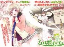 Haru Polish cover