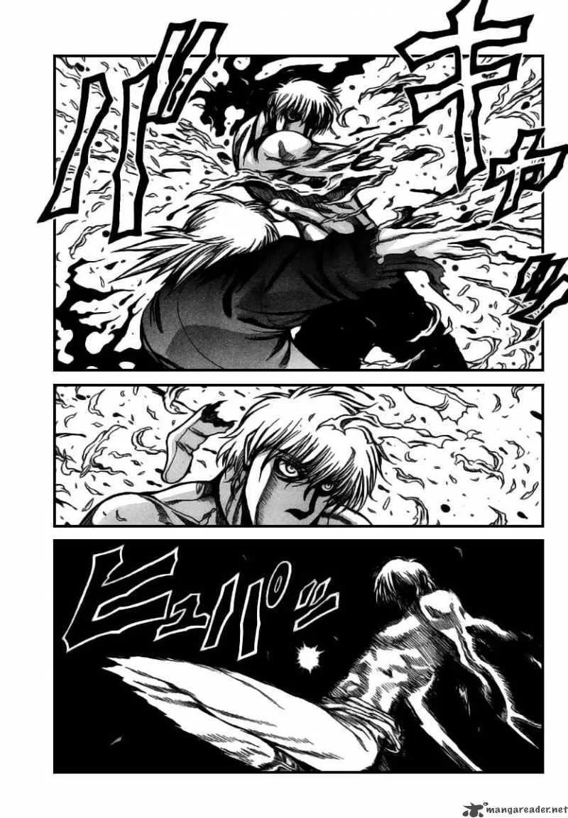 Hellsing Chapter 86 page 14