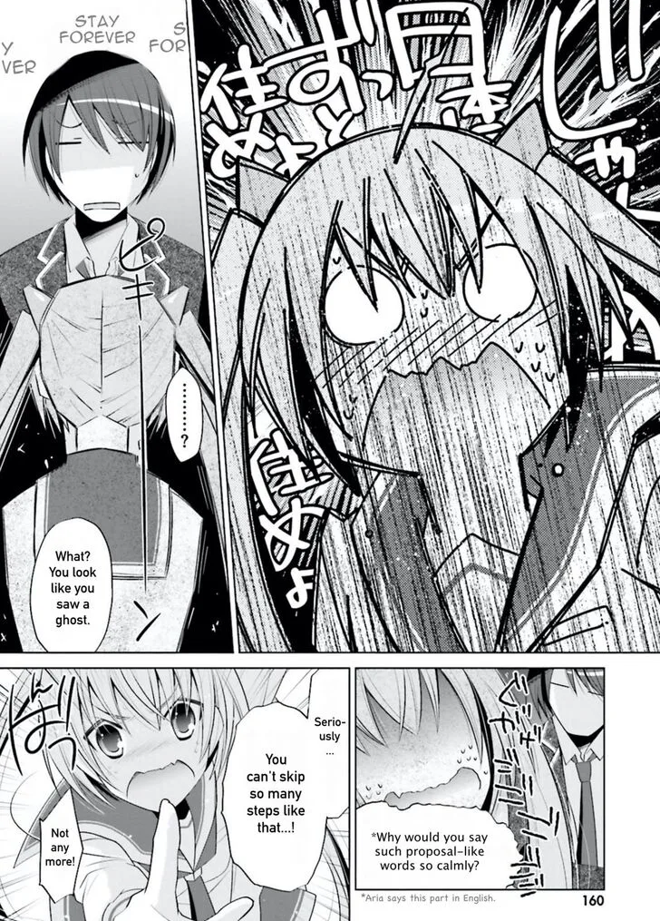 Hidan no Aria Chapter 99 page 14
