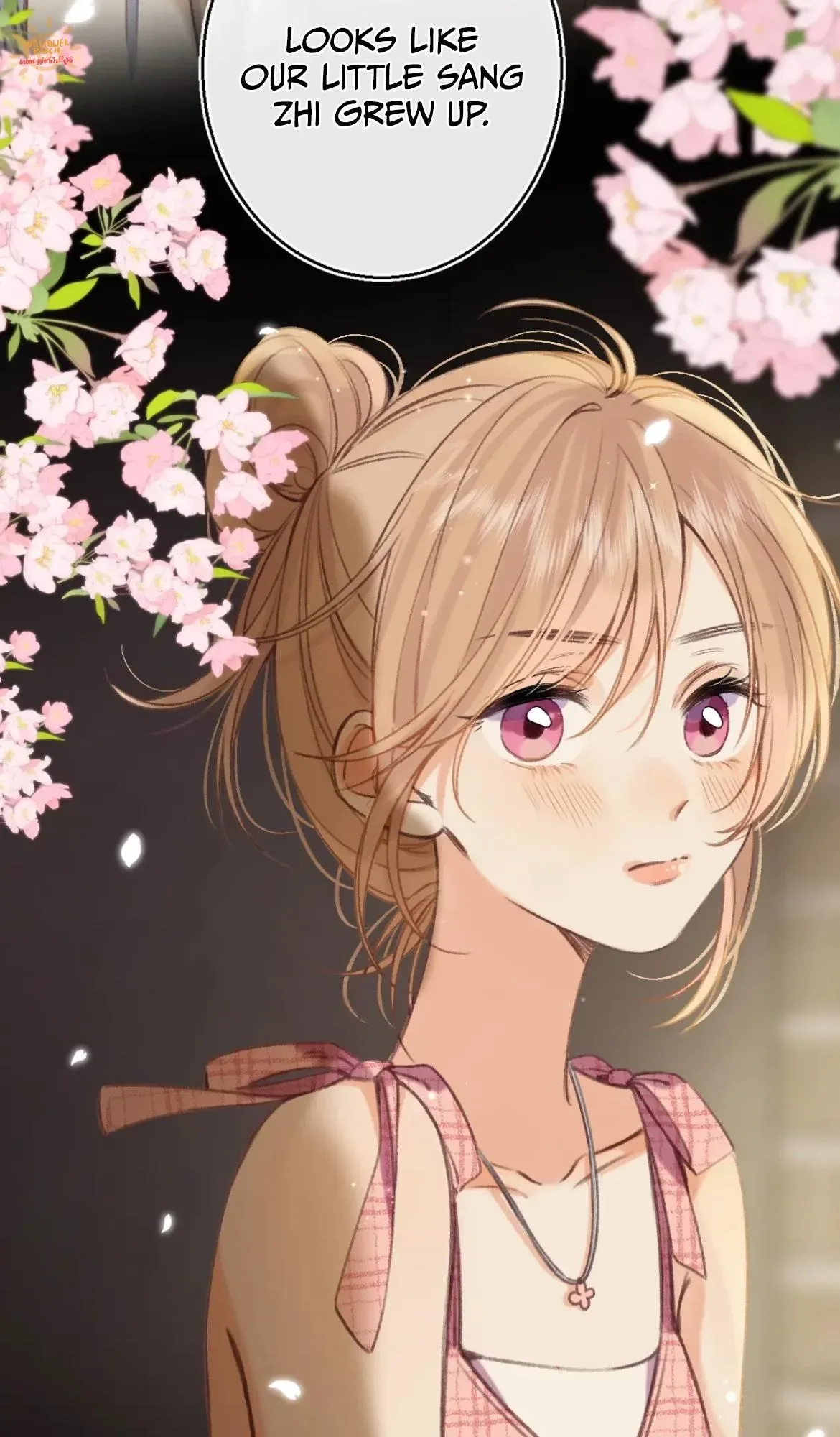 Hidden Love: Can Chapter 46.9 page 15