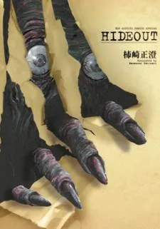 Hideout cover