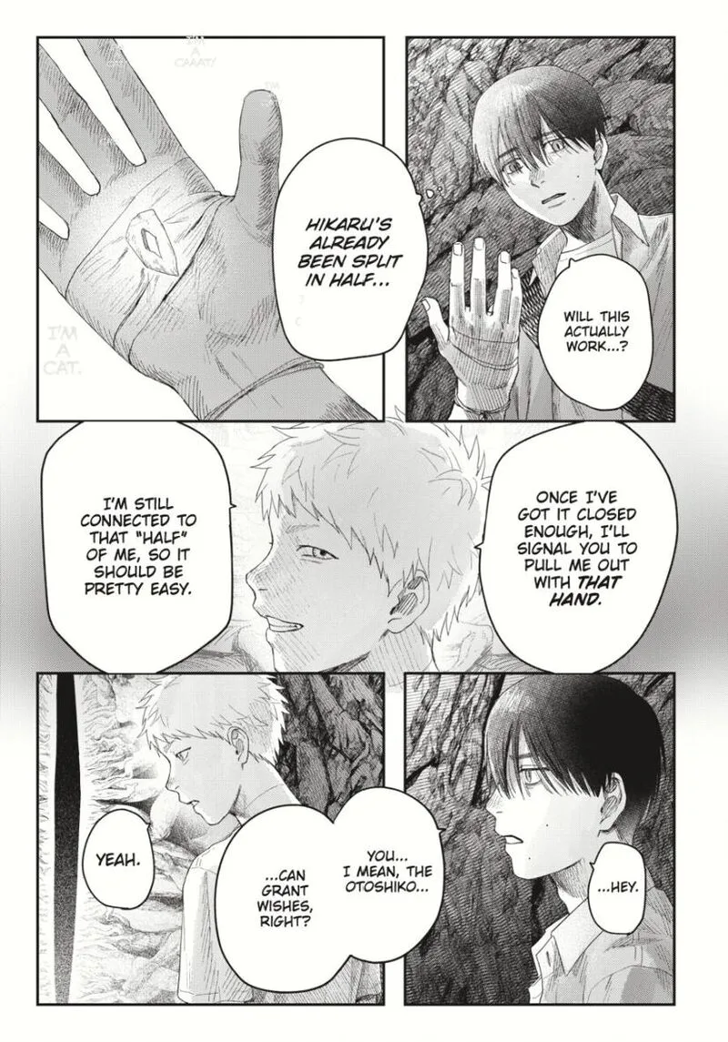 Hikaru ga Shinda Natsu Chapter 33.3 page 8