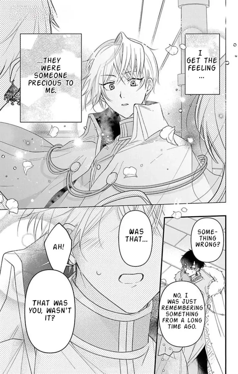 Hikikomori Hime to Dokuzetsu Kishi-sama Chapter 11 page 17