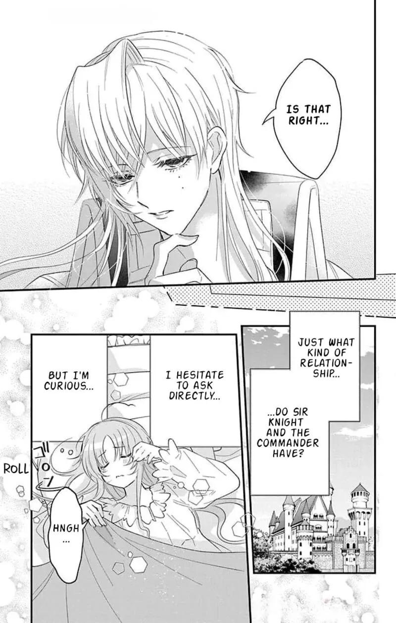 Hikikomori Hime to Dokuzetsu Kishi-sama Chapter 19 page 15