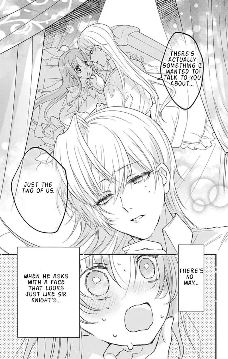 Hikikomori Hime to Dokuzetsu Kishi-sama Chapter 19 page 17
