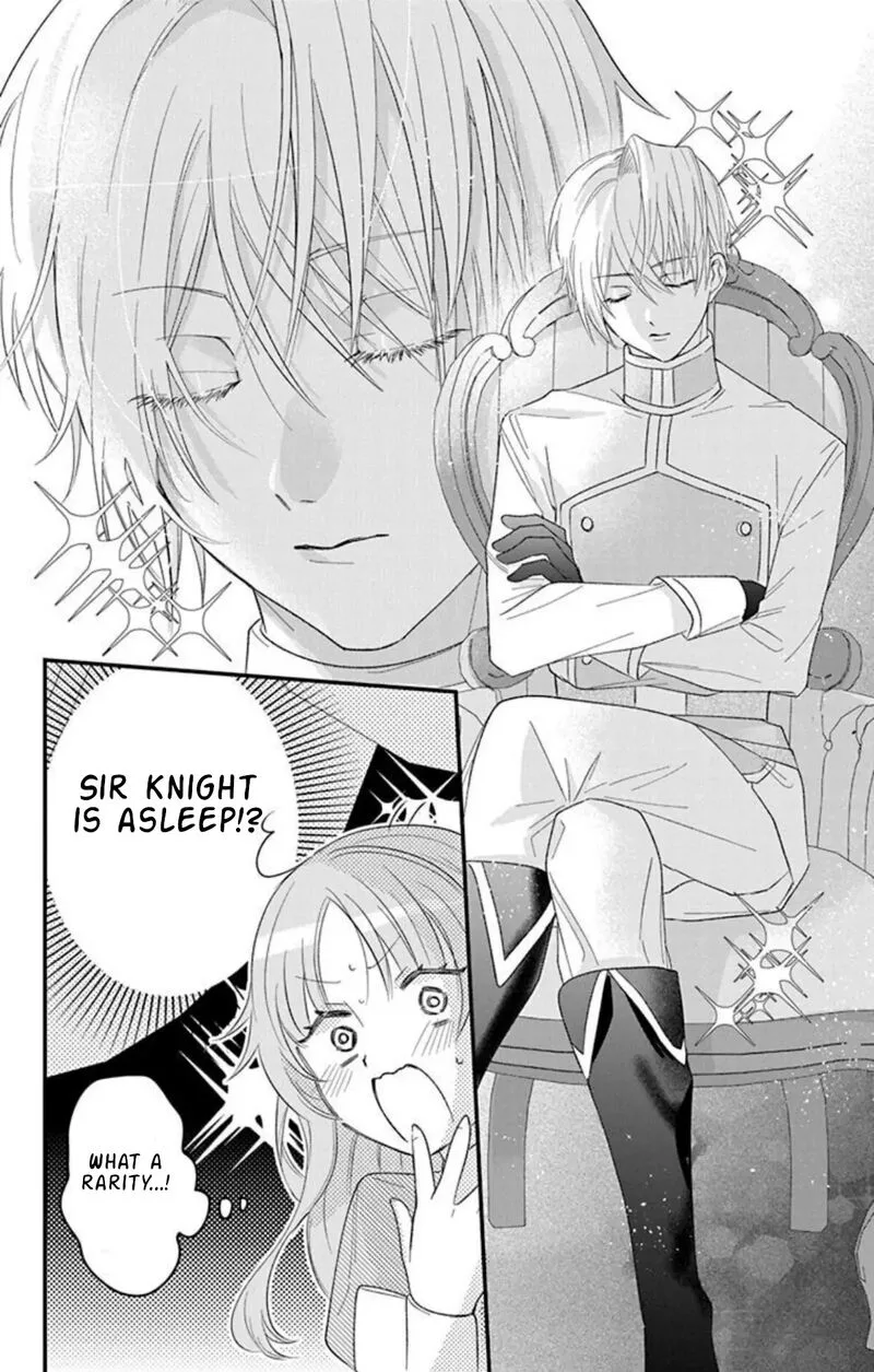 Hikikomori Hime to Dokuzetsu Kishi-sama Chapter 25 page 17