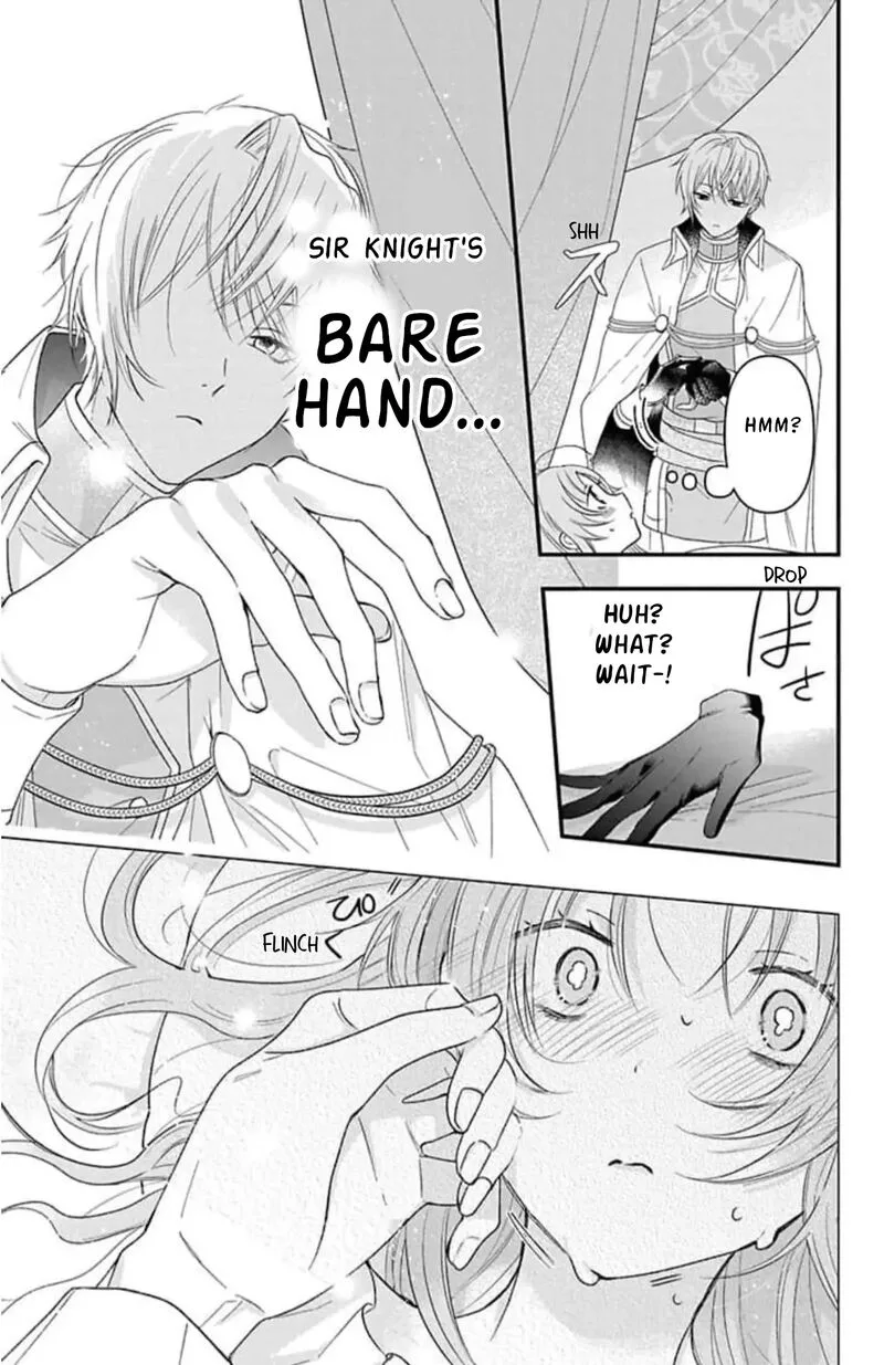 Hikikomori Hime to Dokuzetsu Kishi-sama Chapter 4 page 17