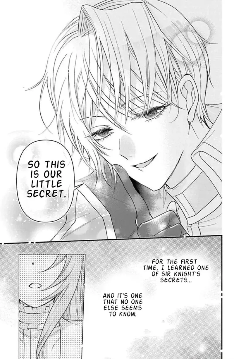 Hikikomori Hime to Dokuzetsu Kishi-sama Chapter 9 page 22