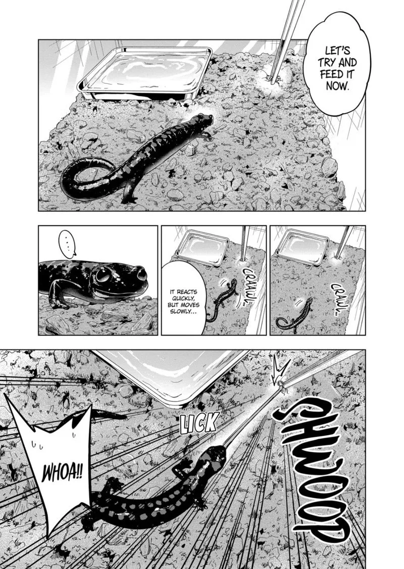 Himitsu no Reptiles Chapter 101 page 11