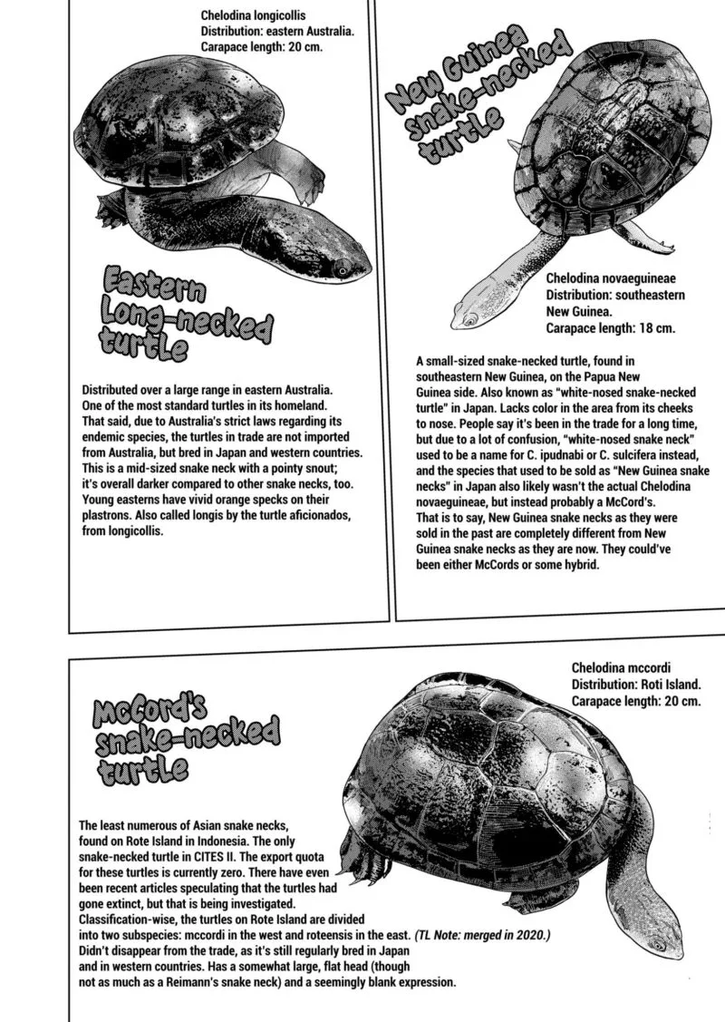 Himitsu no Reptiles Chapter 102 page 12