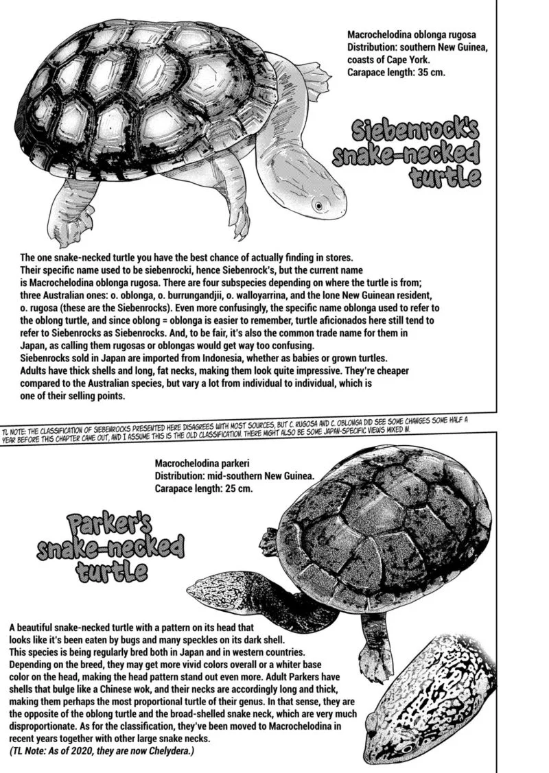 Himitsu no Reptiles Chapter 102 page 11