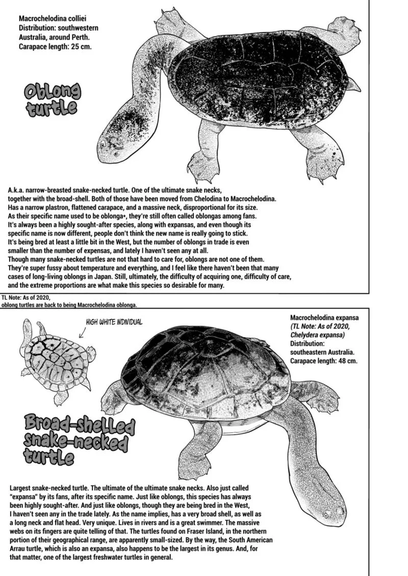 Himitsu no Reptiles Chapter 102 page 13