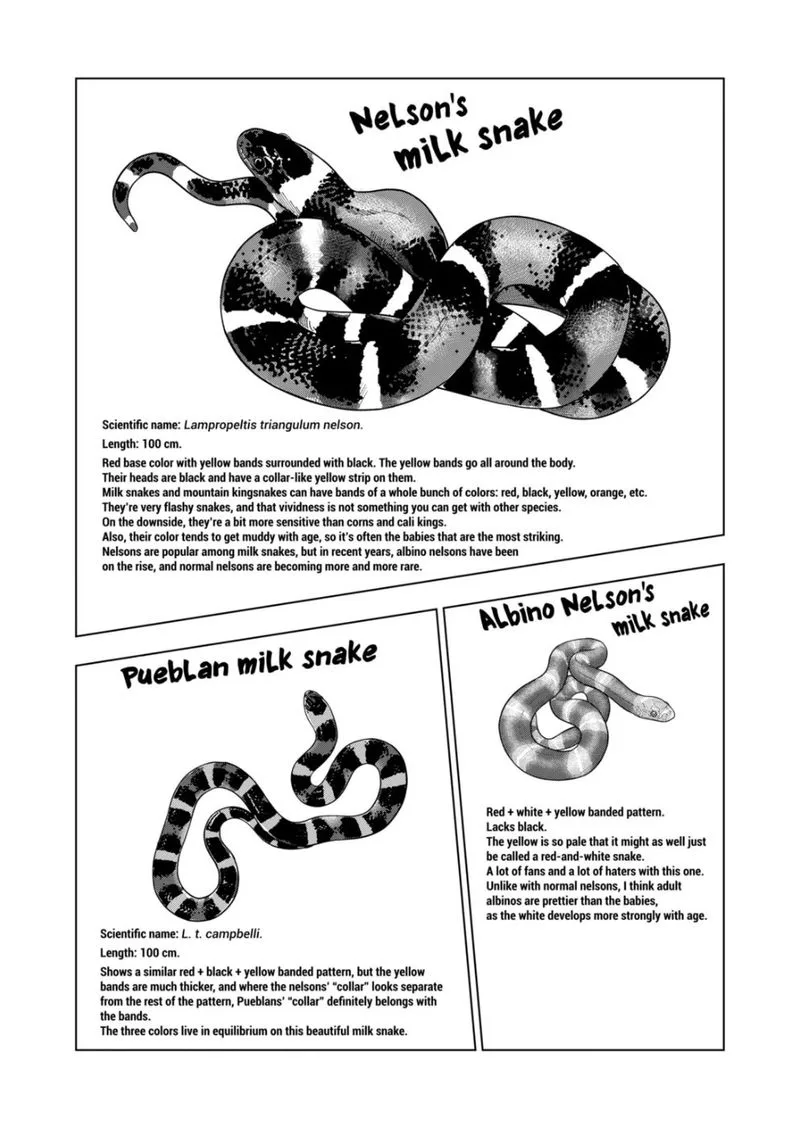 Himitsu no Reptiles Chapter 103 page 8