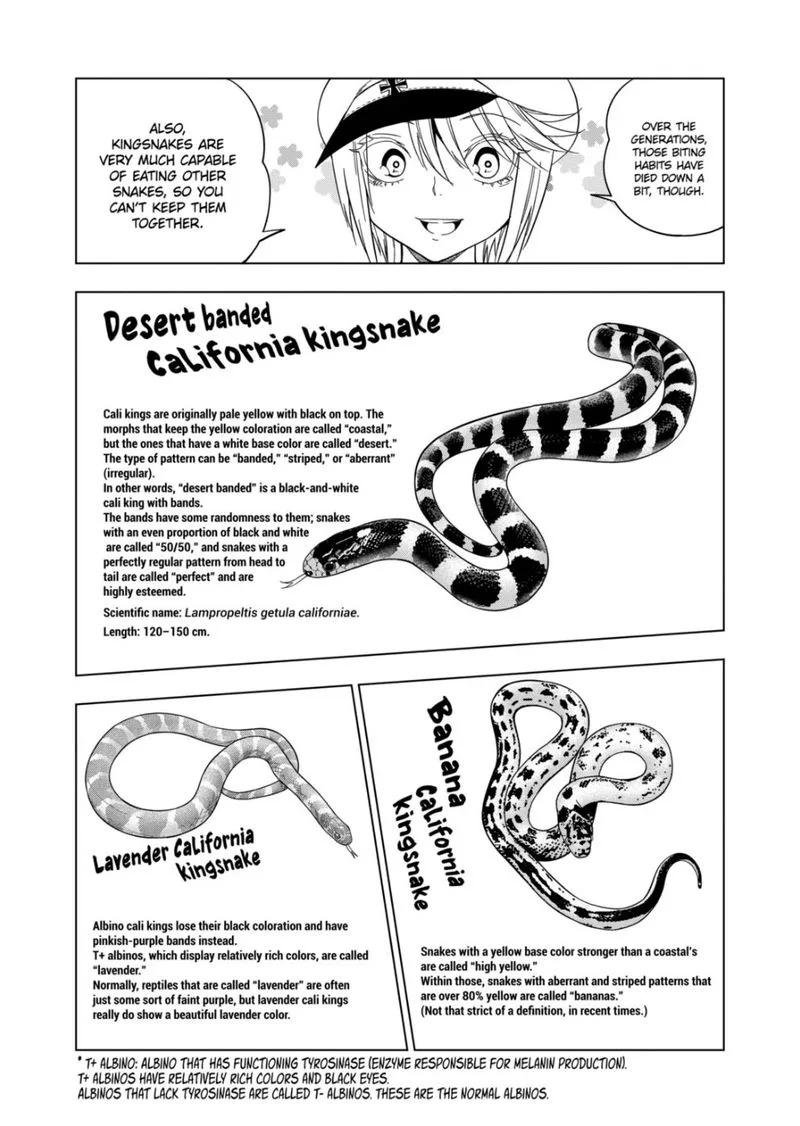Himitsu no Reptiles Chapter 103 page 6