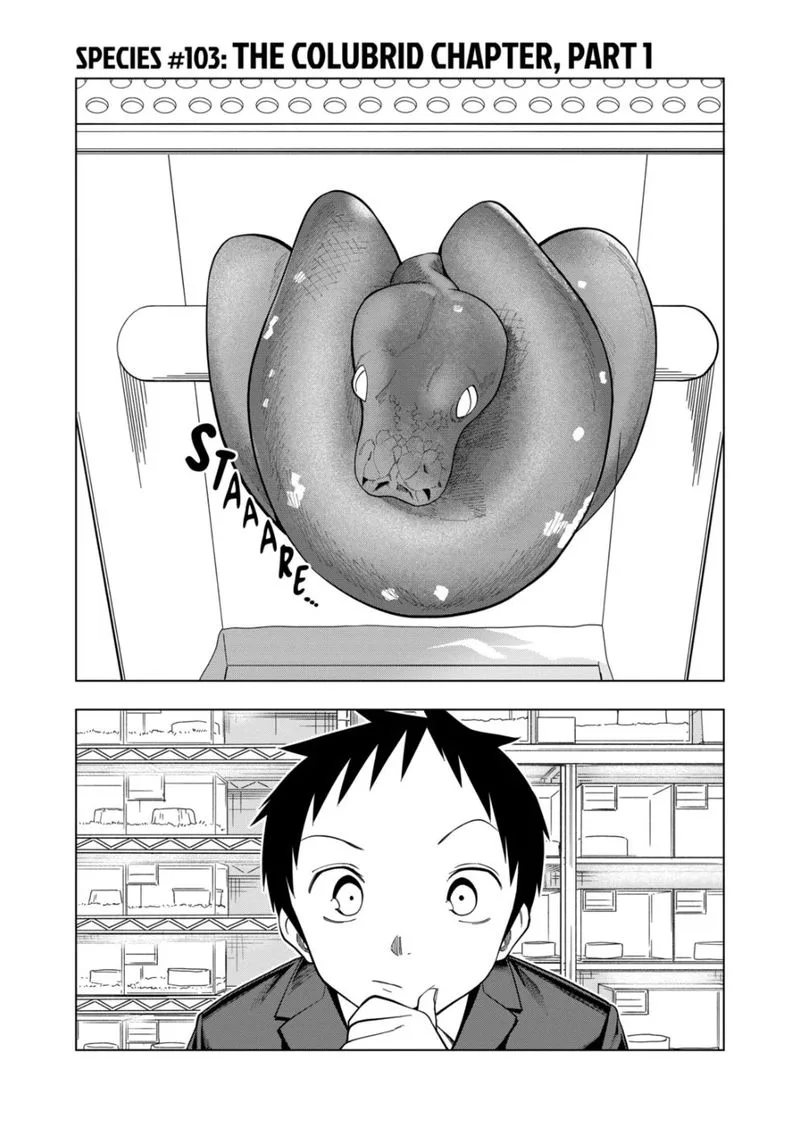 Himitsu no Reptiles Chapter 103 page 1