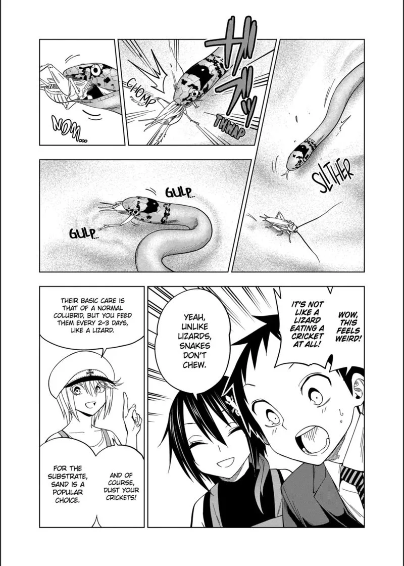 Himitsu no Reptiles Chapter 104 page 13