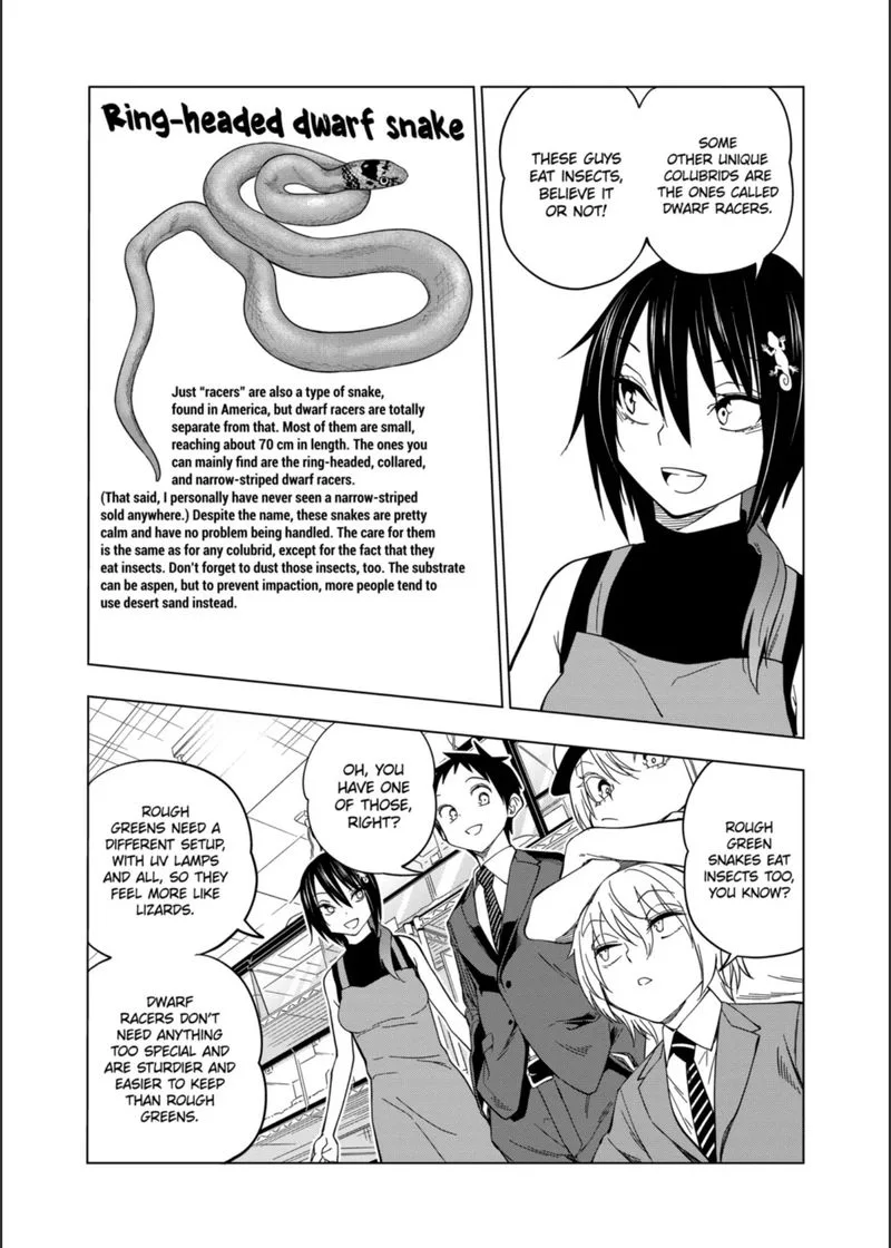 Himitsu no Reptiles Chapter 104 page 12