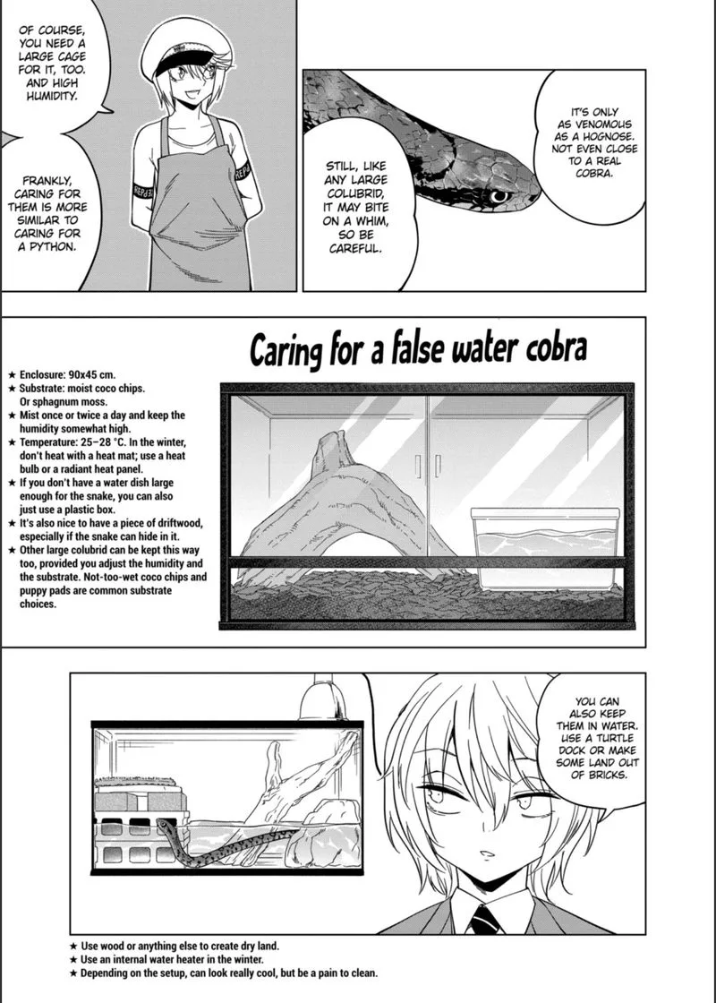 Himitsu no Reptiles Chapter 104 page 19