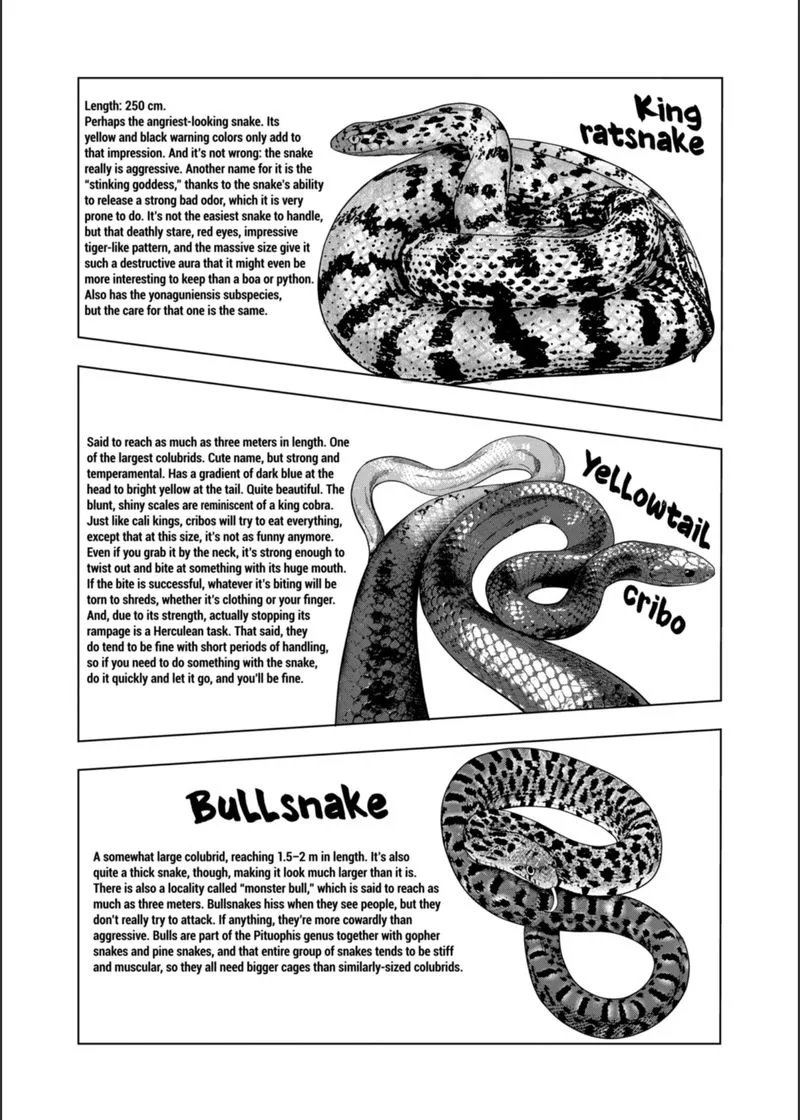 Himitsu no Reptiles Chapter 104 page 7