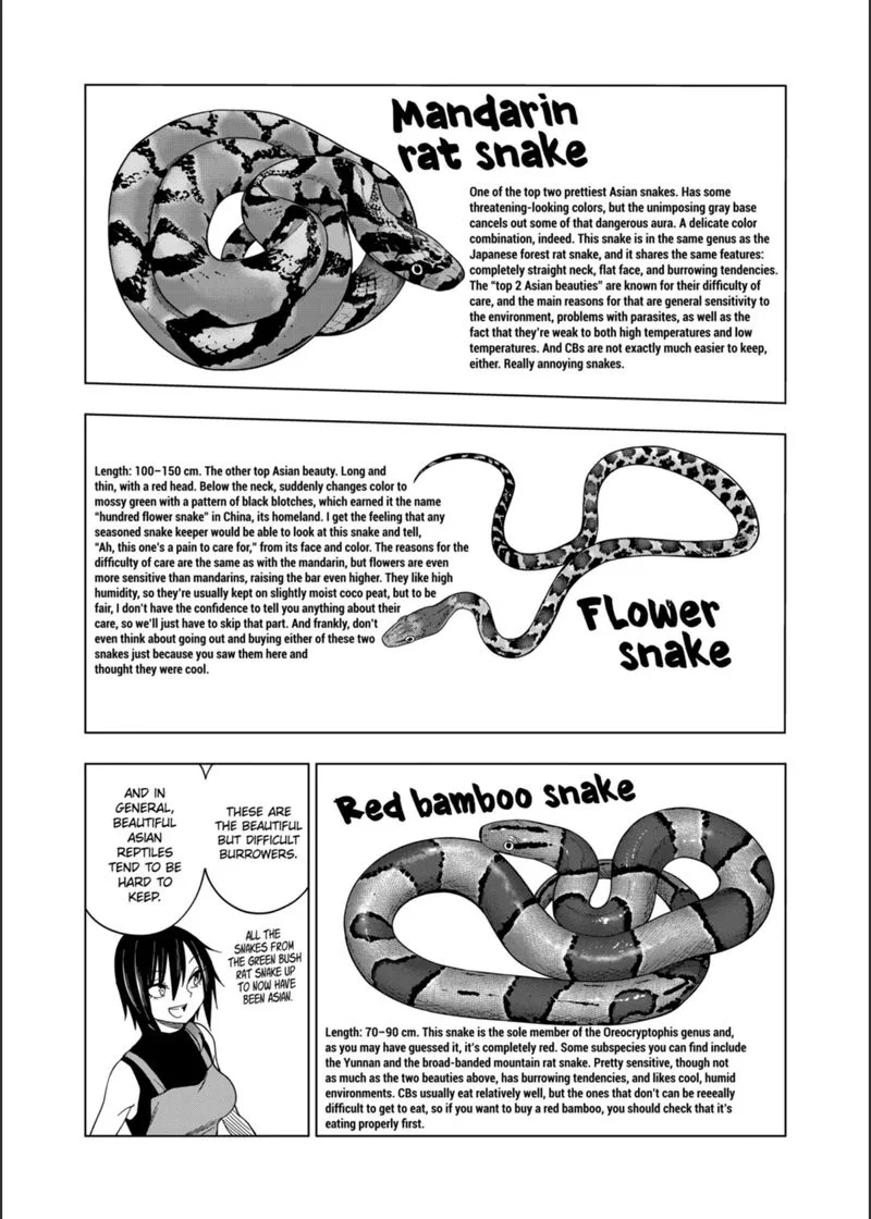 Himitsu no Reptiles Chapter 104 page 16