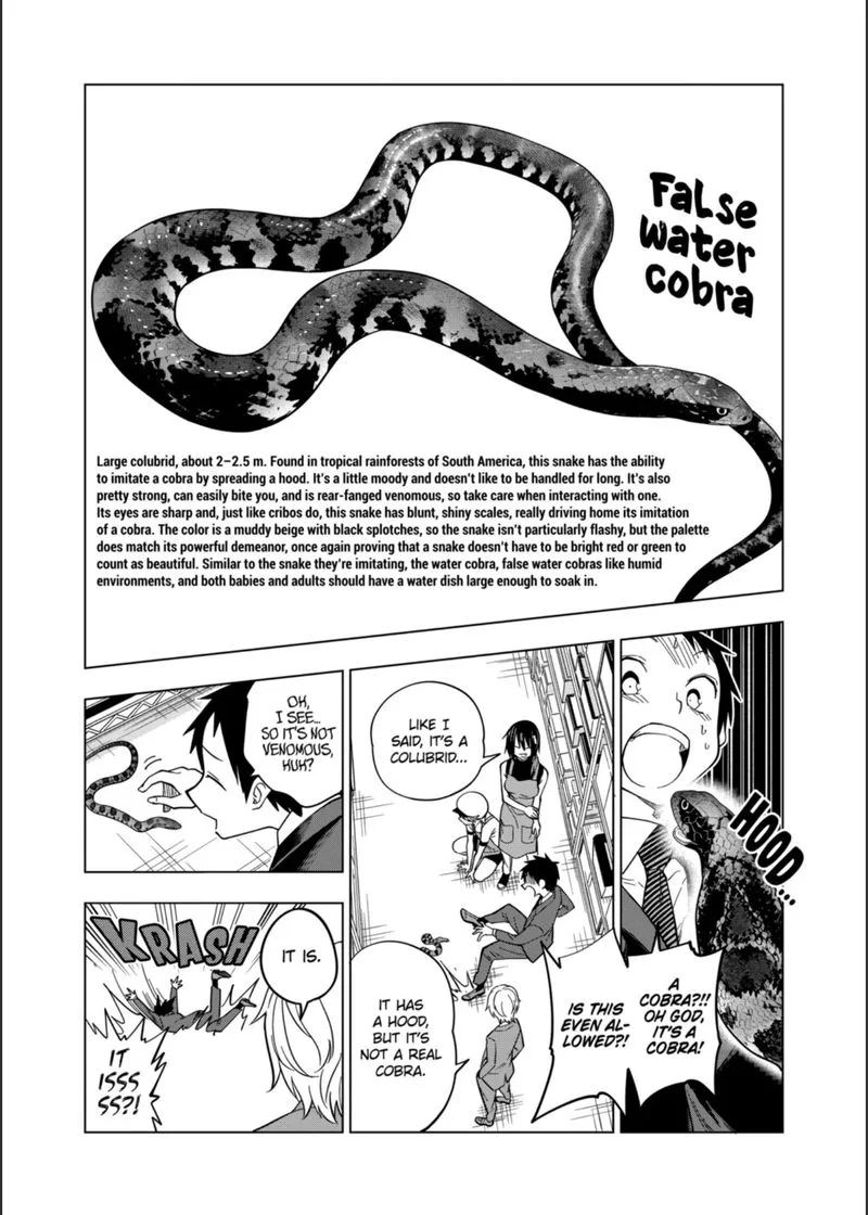 Himitsu no Reptiles Chapter 104 page 18