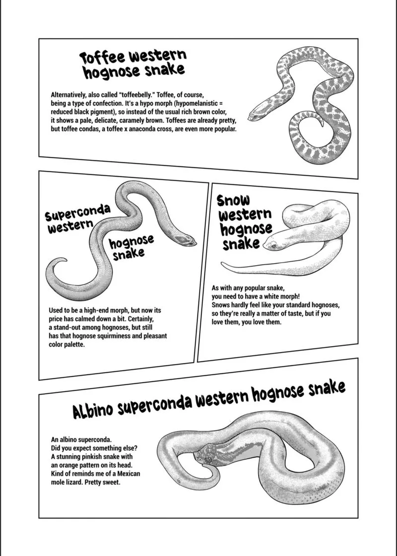 Himitsu no Reptiles Chapter 104 page 2