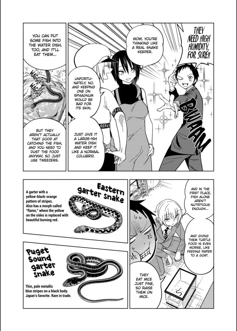 Himitsu no Reptiles Chapter 104 page 11