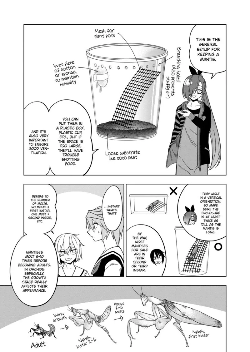 Himitsu no Reptiles Chapter 107 page 13