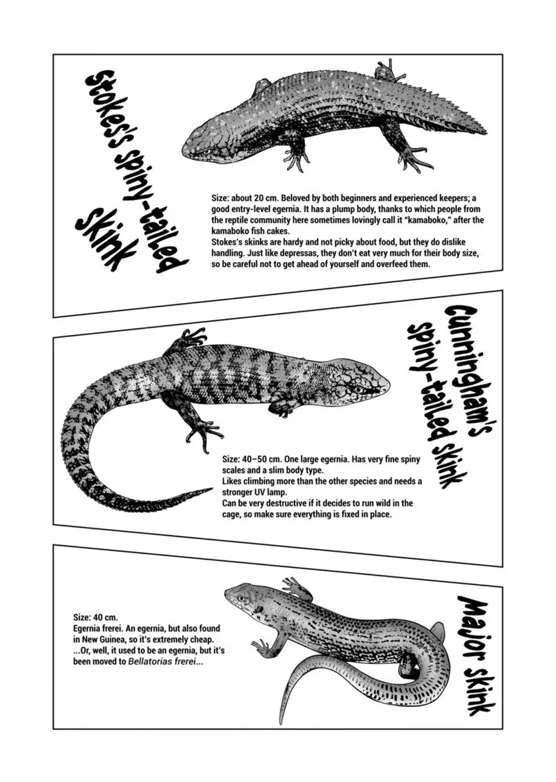 Himitsu no Reptiles Chapter 108 page 6