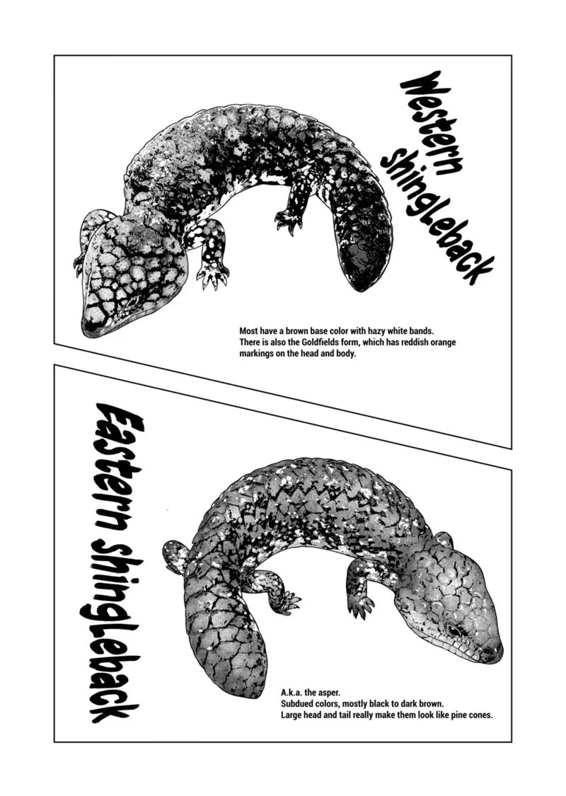 Himitsu no Reptiles Chapter 108 page 16