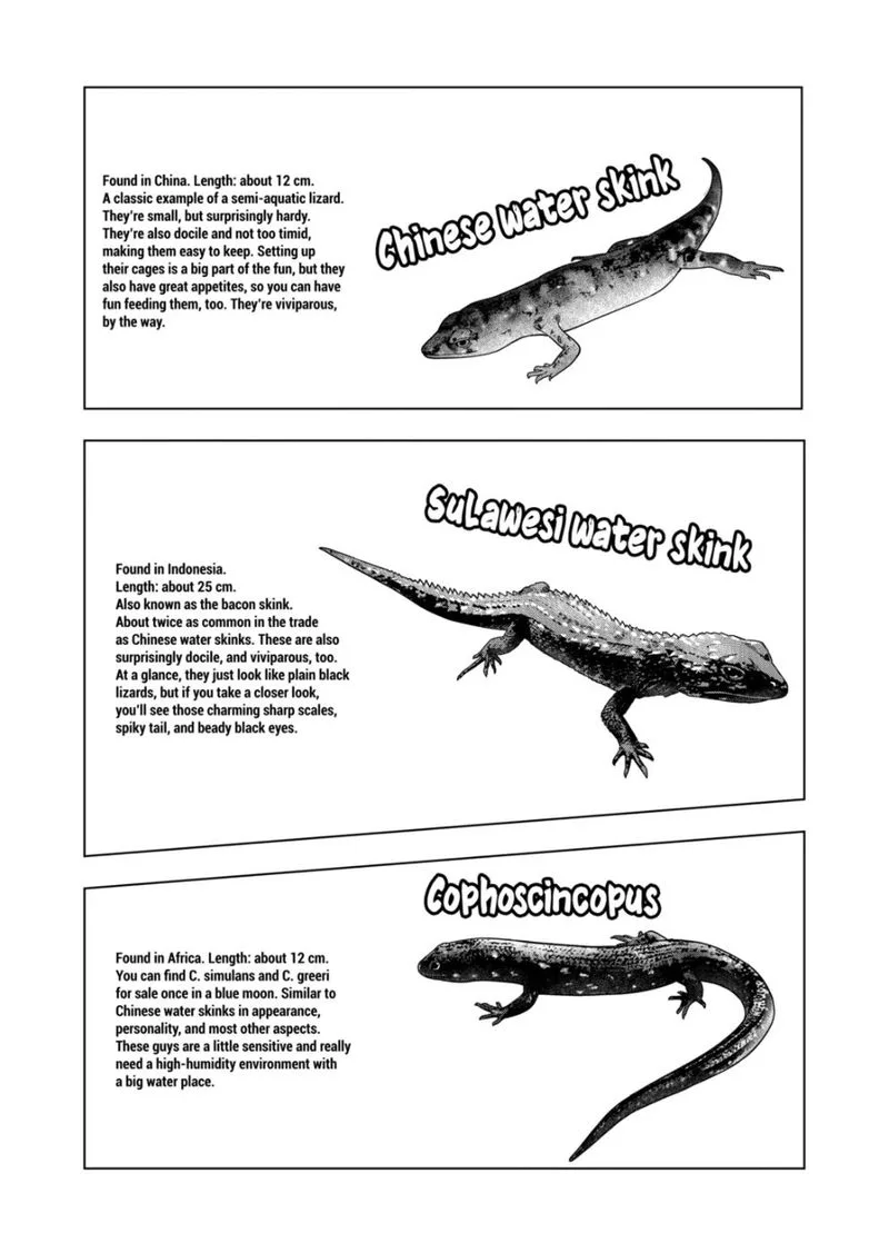 Himitsu no Reptiles Chapter 111 page 8