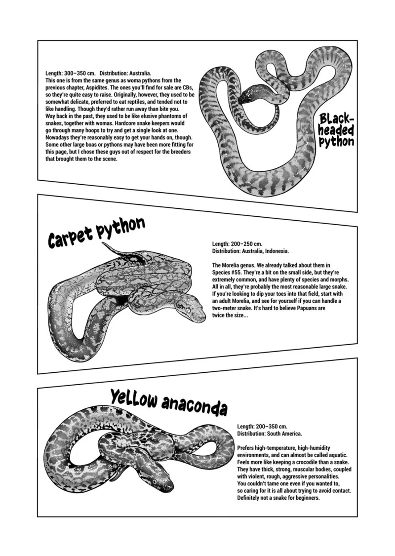 Himitsu no Reptiles Chapter 113 page 17