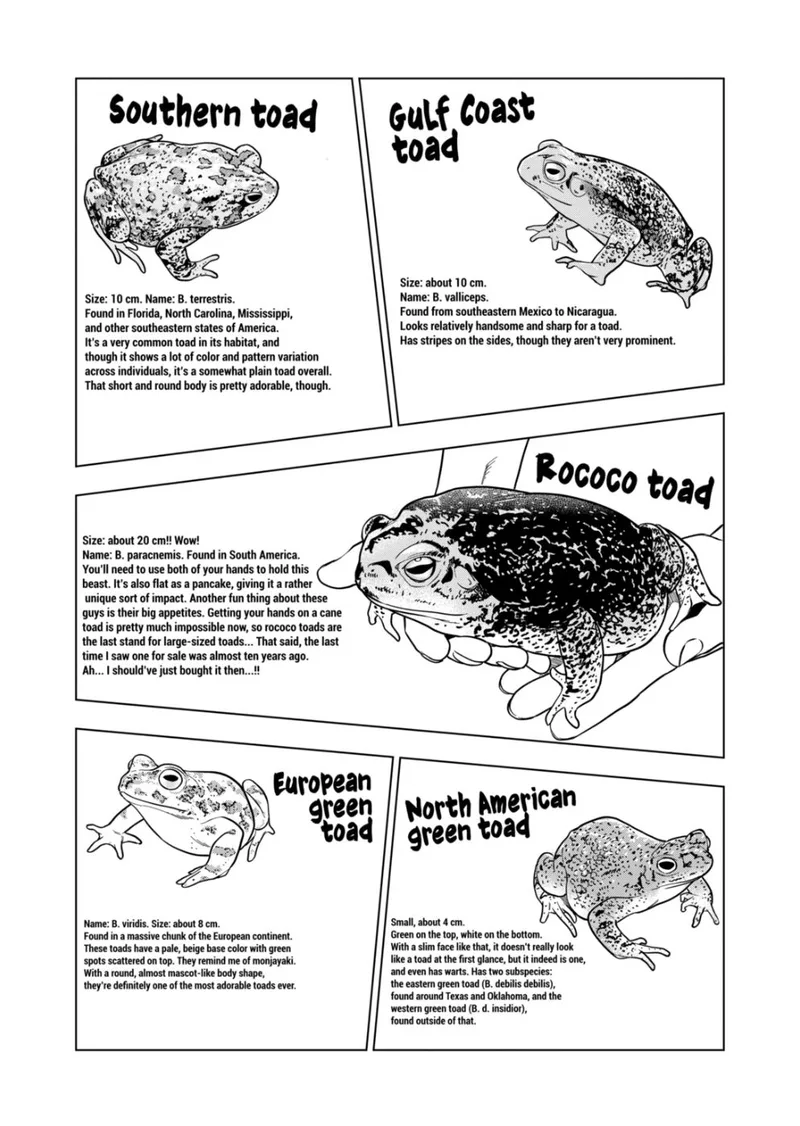 Himitsu no Reptiles Chapter 115 page 13