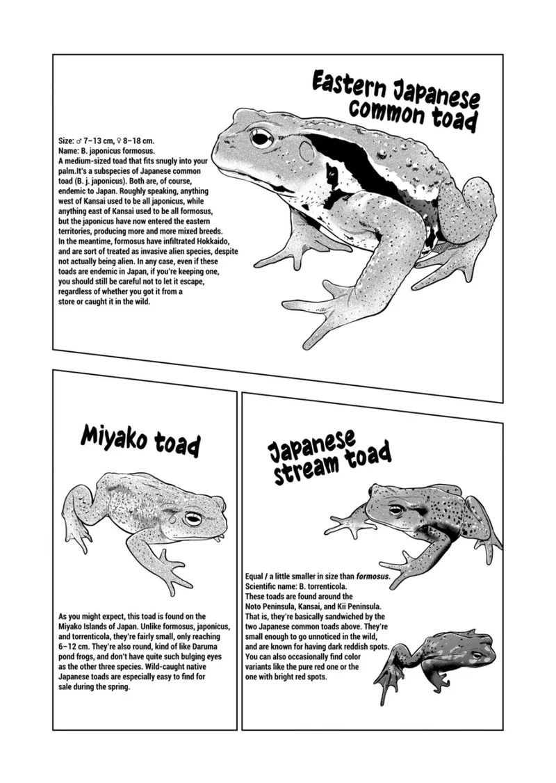 Himitsu no Reptiles Chapter 115 page 12