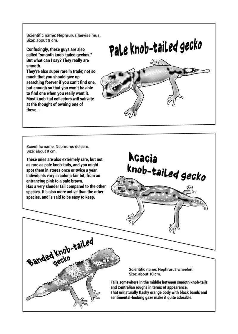 Himitsu no Reptiles Chapter 116 page 15