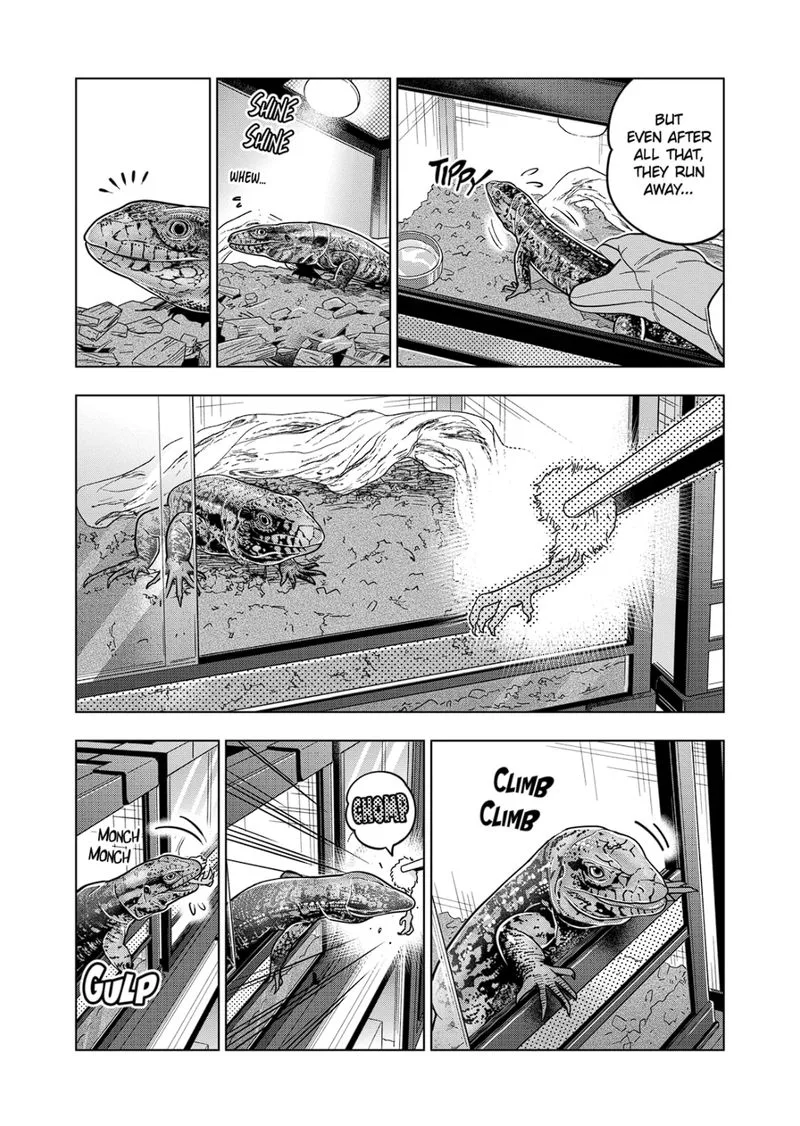Himitsu no Reptiles Chapter 118 page 13