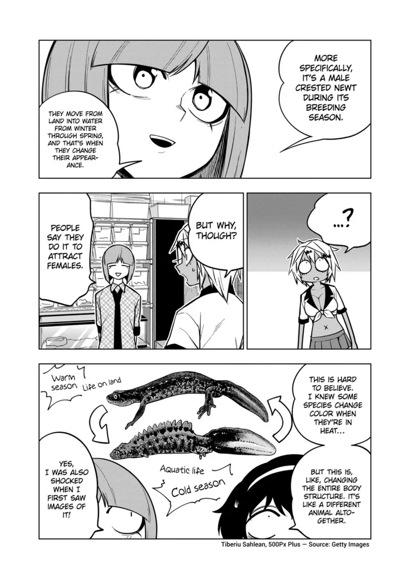 Himitsu no Reptiles Chapter 122 page 4