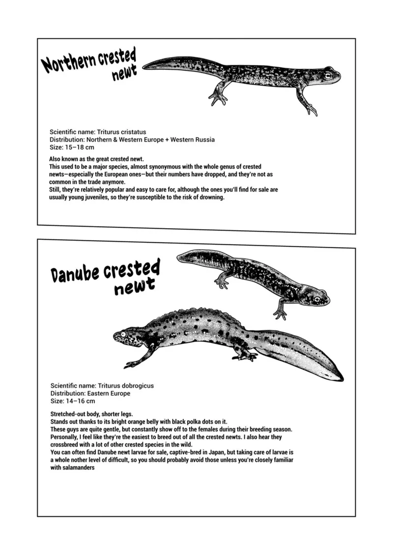 Himitsu no Reptiles Chapter 122 page 16