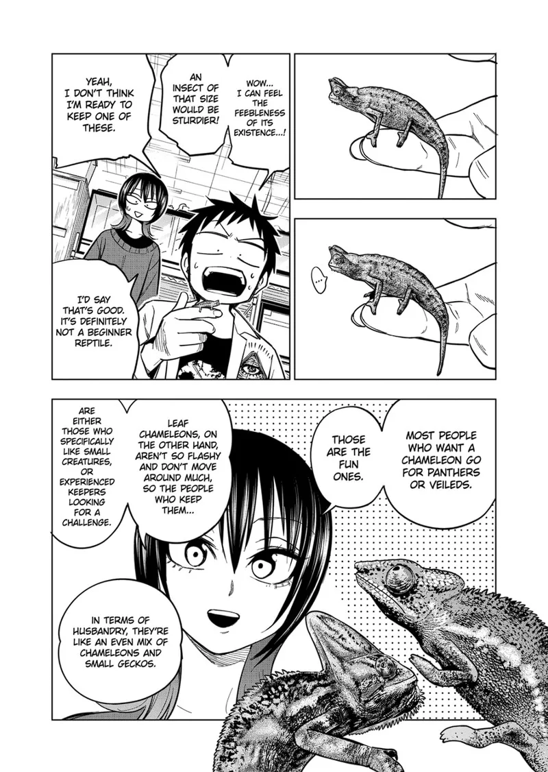 Himitsu no Reptiles Chapter 123 page 13
