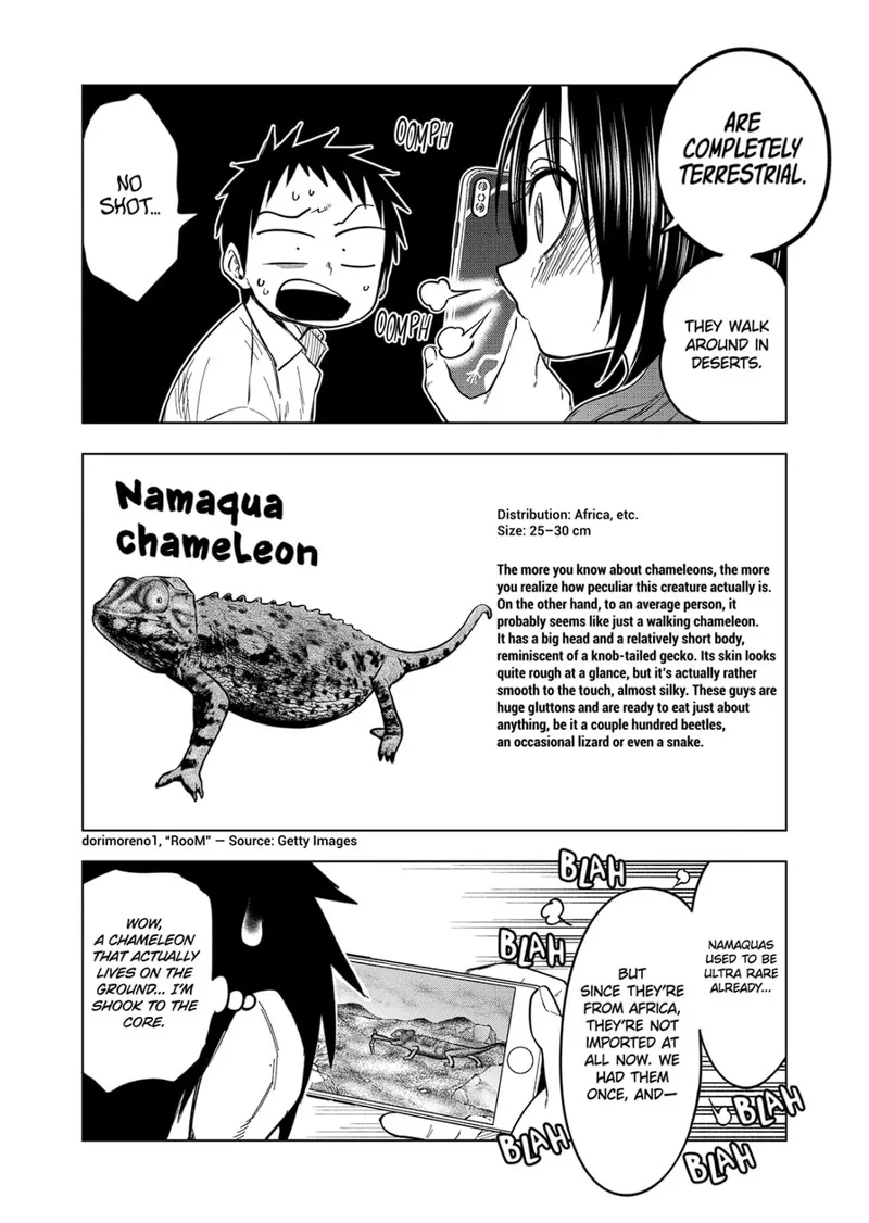 Himitsu no Reptiles Chapter 123 page 19