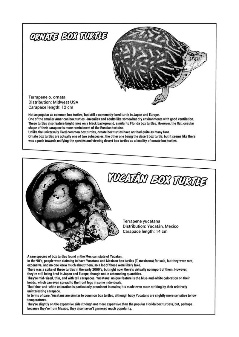 Himitsu no Reptiles Chapter 124 page 9