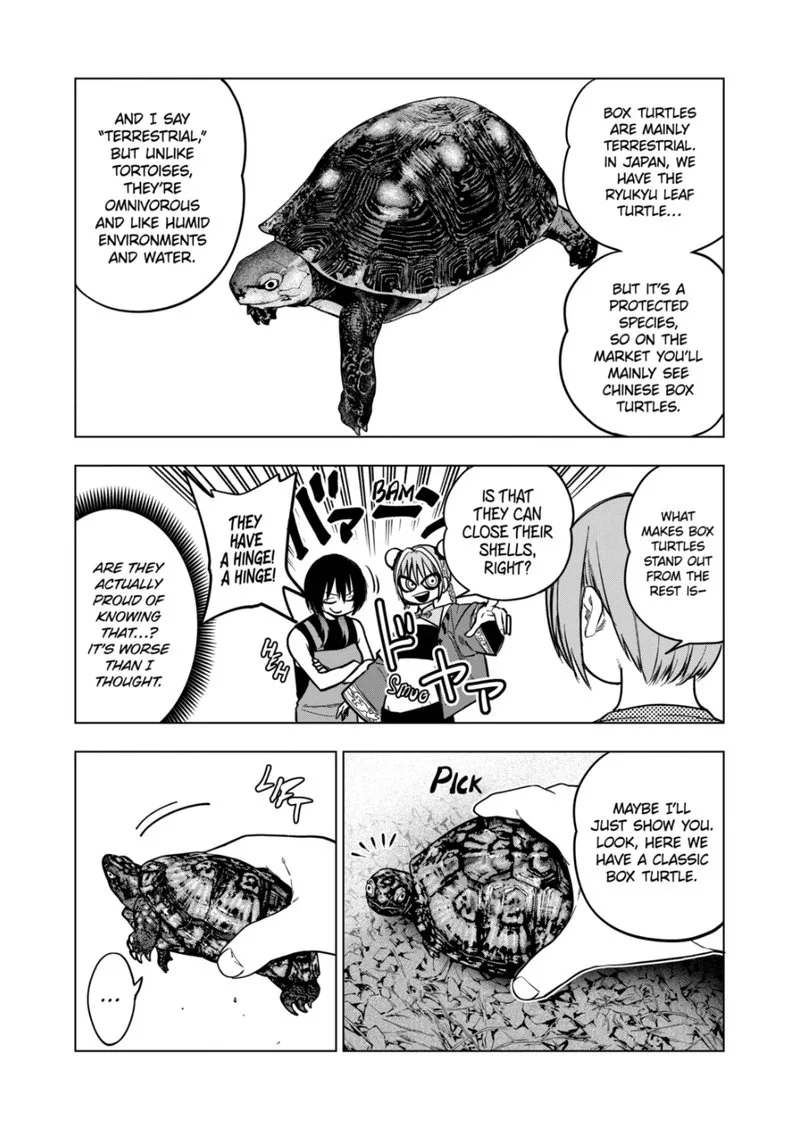 Himitsu no Reptiles Chapter 124 page 5