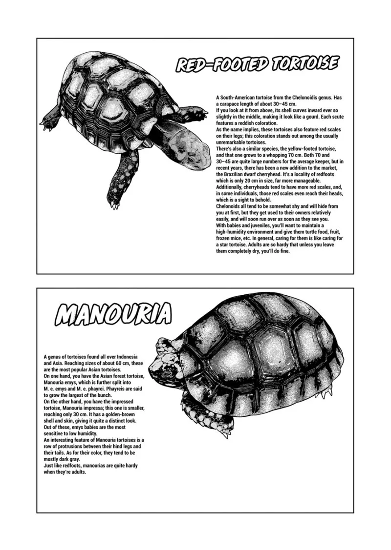 Himitsu no Reptiles Chapter 124 page 17
