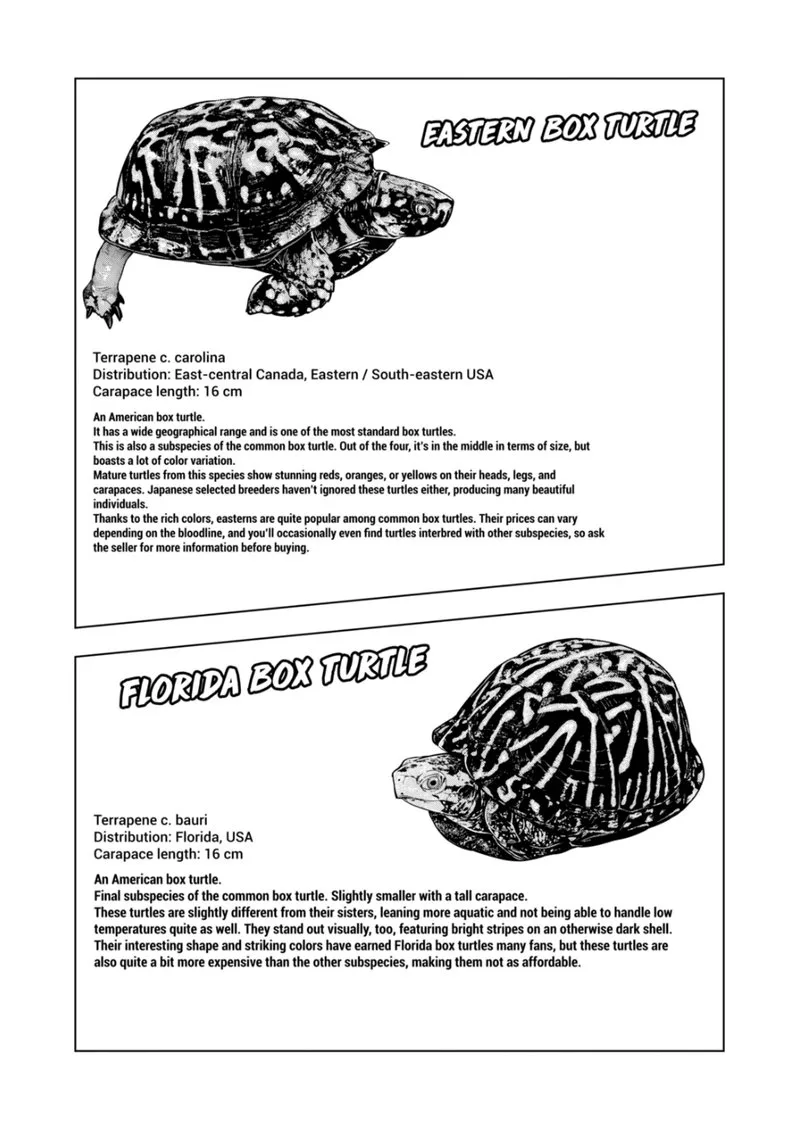 Himitsu no Reptiles Chapter 124 page 8