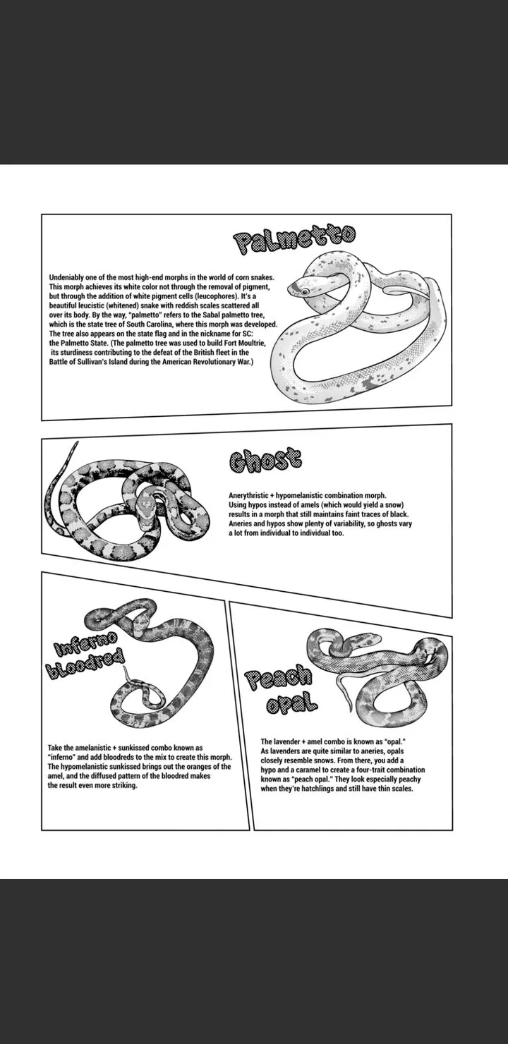 Himitsu no Reptiles Chapter 125 page 26