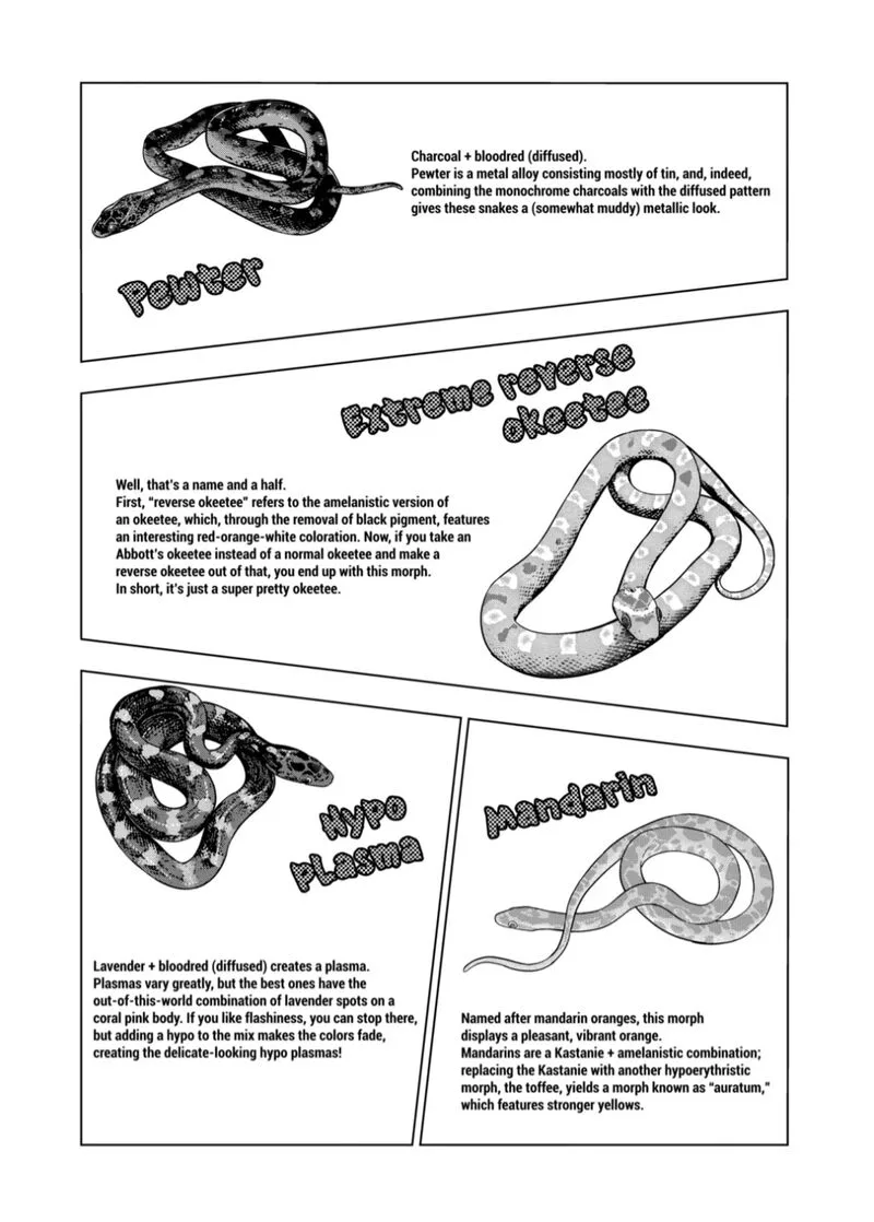 Himitsu no Reptiles Chapter 125 page 9