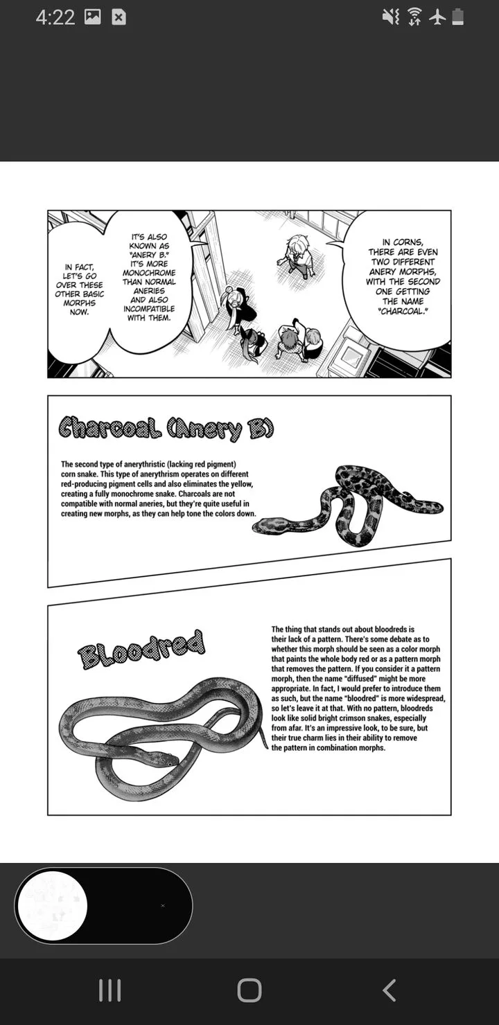 Himitsu no Reptiles Chapter 125 page 21