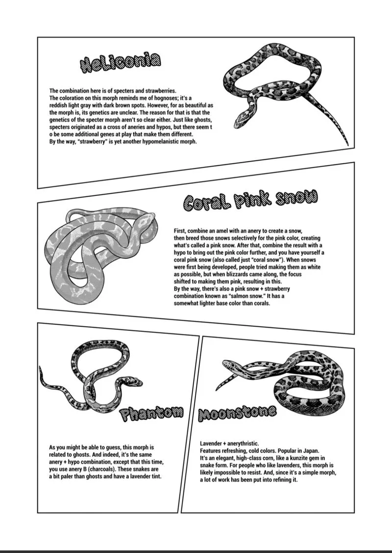 Himitsu no Reptiles Chapter 125 page 11