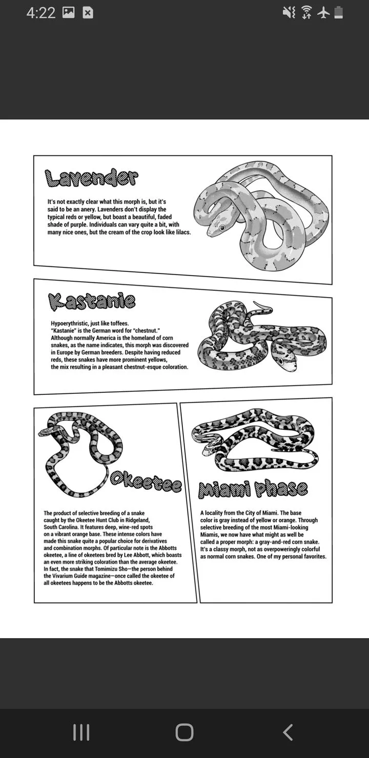 Himitsu no Reptiles Chapter 125 page 23