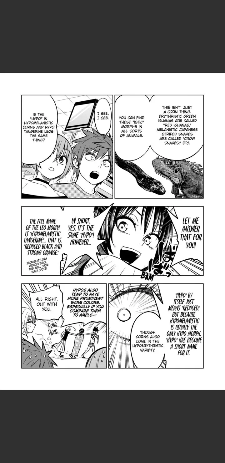 Himitsu no Reptiles Chapter 125 page 19